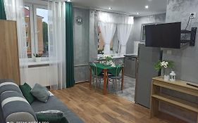 Silver Apartment Mazury Gizycko